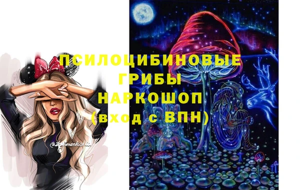 2c-b Алзамай