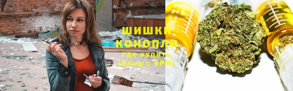 СК Алексин