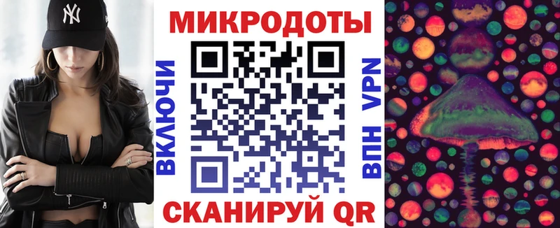 купить наркотики сайты Чекалин Псилоцибиновые грибы Psilocybe